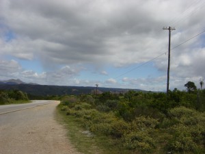 DSC01263