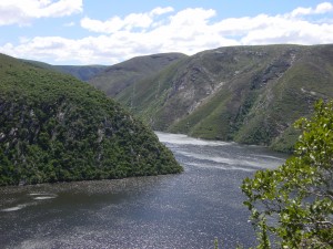 DSC01282